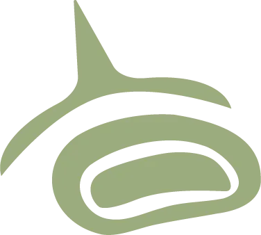 Siletz / Quinault inspired illustration