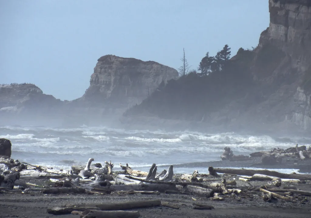 Quinault Washington Coast